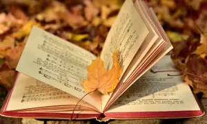 Ein altes Liederbuch mit Noten und Texten liegt auf Herbstlaub. Ein gelbes Blatt ruht auf den Seiten, als würde es alte Volkslieder singen.