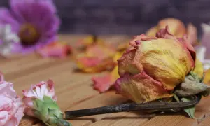 Welke lieder zur beerdigung einer mutter deutsch passen am besten? Ein welker Rosenstrauß auf Holz, symbolisch für Vergänglichkeit und Erinnerung.