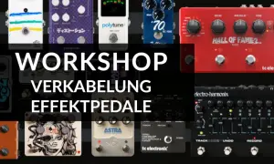 Workshop Verkabelung Effektpedale: Eine Auswahl verschiedener Gitarreneffektpedale, die für die richtige Pedalboard Reihenfolge arrangiert sind.