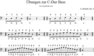 Notenblatt mit Übungen zur C-Dur Tonleiter für Bass.