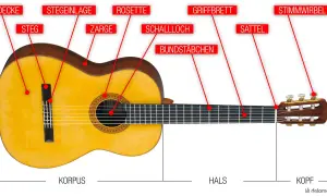 Beschriftete Gitarre: Decke, Steg, Rosette, Schallloch, Griffbrett, Sattel, Kopf mit Stimmwirbeln. So lernt man die Teile einer Gitarre kennen.