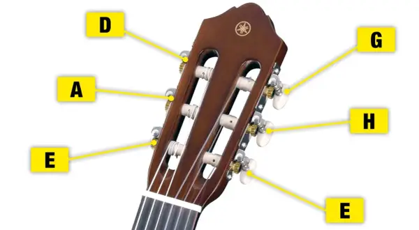 Konzertgitarre Saiten aufziehen: Der Hals und die Mechaniken der Gitarre mit den Noten E, A, D, G, H, E.