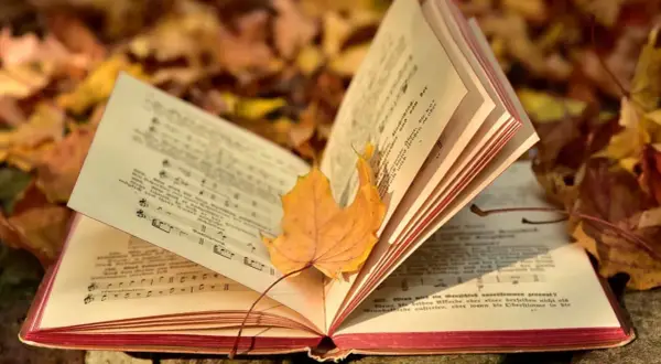 Ein altes Liederbuch mit Noten und Texten liegt auf Herbstlaub. Ein gelbes Blatt ruht auf den Seiten, als würde es alte Volkslieder singen.