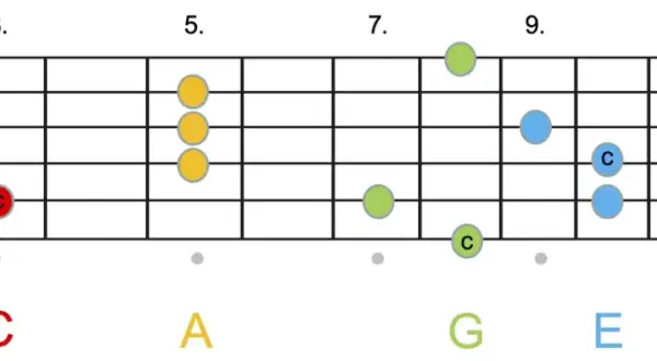 Gitarrengriffbrett mit farbigen Punkten, die Noten für die Stufentheorie Musik zeigen.