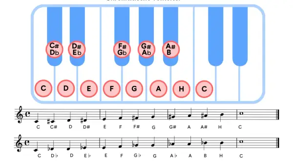 Darstellung einer chromatischen Tonleiter auf einem Klavier mit Noten. Die weißen Tasten sind C, D, E, F, G, A, H, C. Die schwarzen Tasten zeigen erhöhte und erniedrigte Töne.