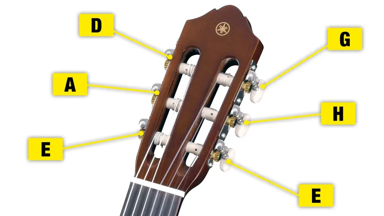 Konzertgitarre Saiten aufziehen: Der Hals und die Mechaniken der Gitarre mit den Noten E, A, D, G, H, E.