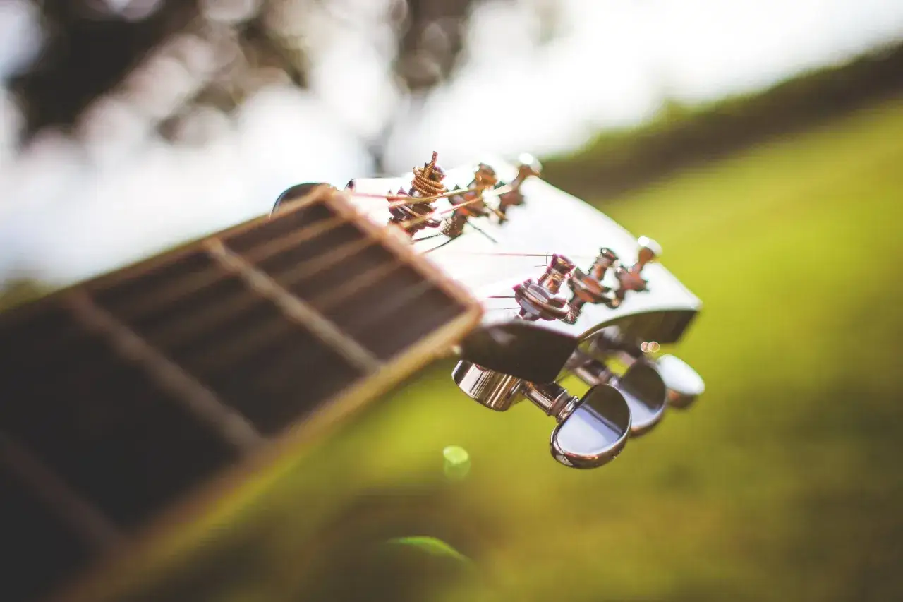 Nahaufnahme des Gitarrenkopfes mit Saiten und Mechaniken. Die Gitarre liegt im Freien, umgeben von unscharfem Grün.