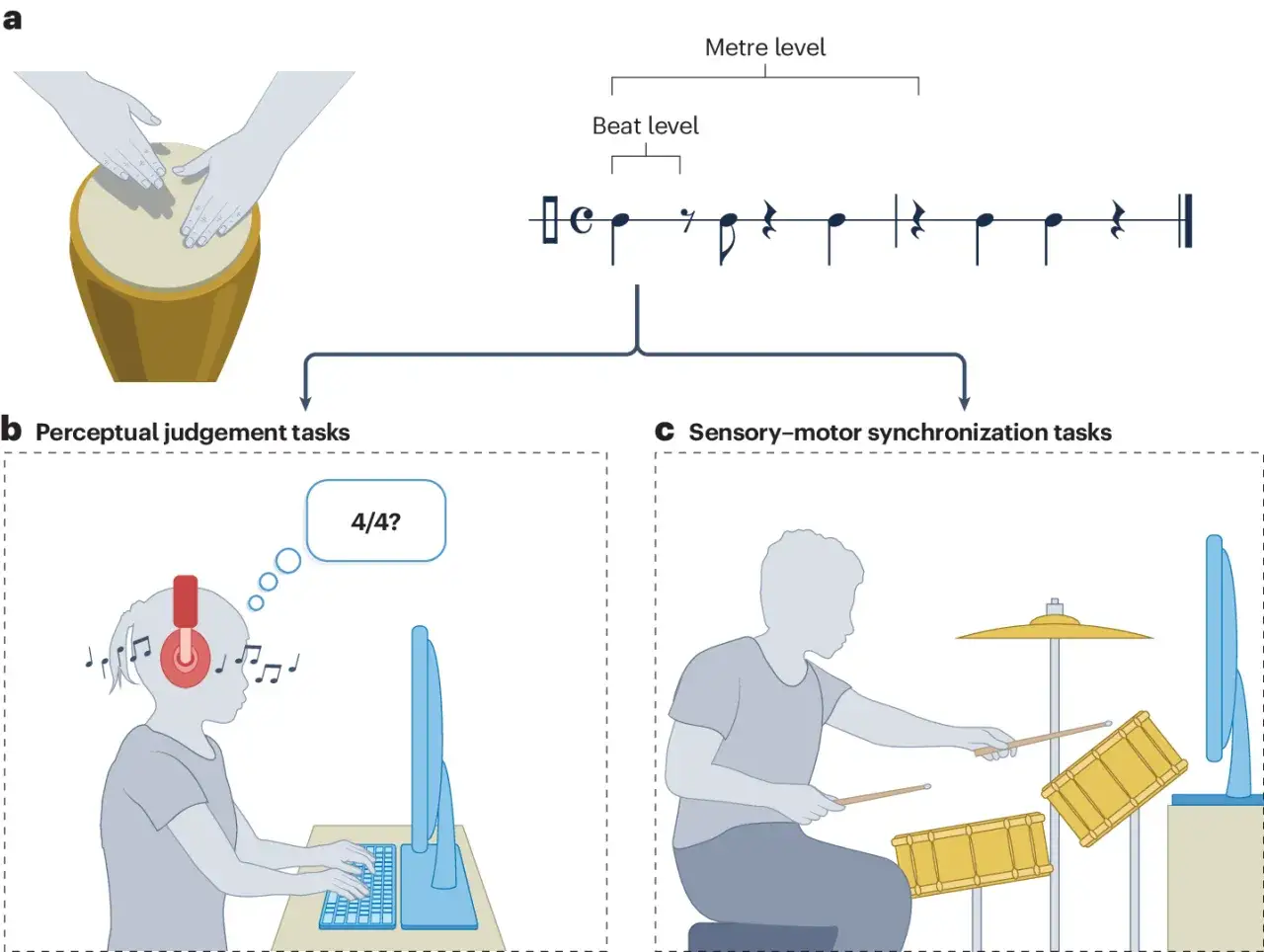 Hände schlagen auf eine Trommel, Noten zeigen einen Rhythmus-Pattern. Kinder hören Musik und spielen Schlagzeug, synchronisiert mit einem Bildschirm.
