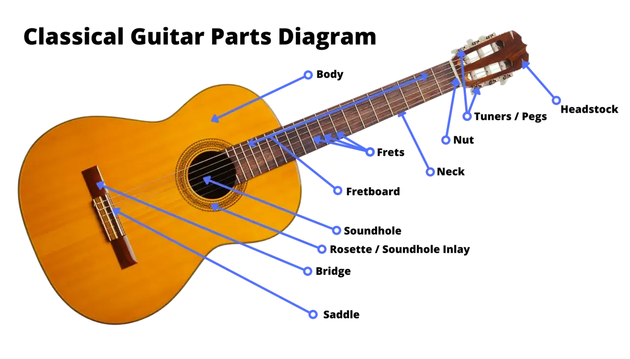 Der Aufbau einer Gitarre: Korpus, Schallloch, Steg, Sattel, Griffbrett, Bünde, Hals, Kopfplatte mit Mechaniken und Saiten.