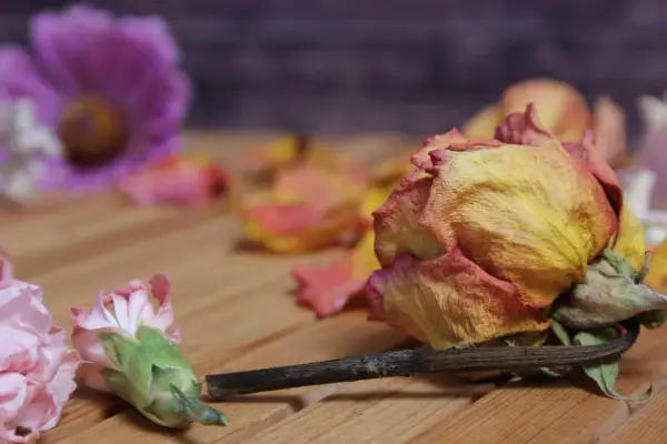 Welke lieder zur beerdigung einer mutter deutsch passen am besten? Ein welker Rosenstrauß auf Holz, symbolisch für Vergänglichkeit und Erinnerung.